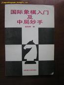 国际象棋入门及中局妙手(近10品)