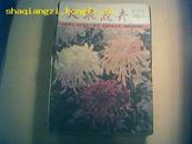 【创刊号】《大众花卉》1982年