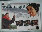 二开经典电影海报:昆仑山上一棵草