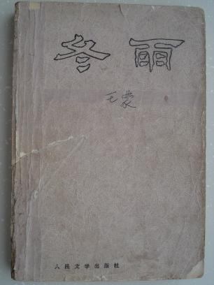 冬雨---------（32开平装  1980年7月一版一印）