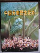 中国云南野生花卉（彩色画册，16开精装）