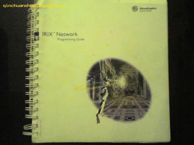 IRIX Network  Programming Guide (007-0810-070)