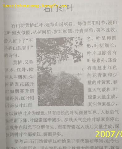 石门坊（临朐旅游资源）