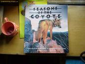 SEASONS  OF THE  COYOTE(狼的四季  英文原版野生狼铜版画册 大12开 包邮挂）