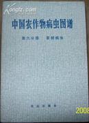 中国农作物病虫图谱 第六分册 茶树病虫