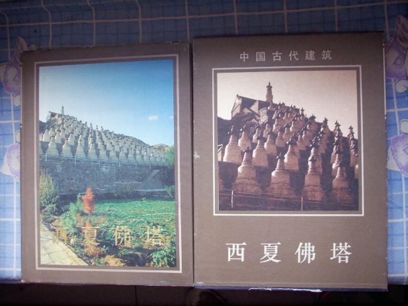 中国古代建筑-西夏佛塔（8开精装全彩铜版纸精印 很精美)全品相