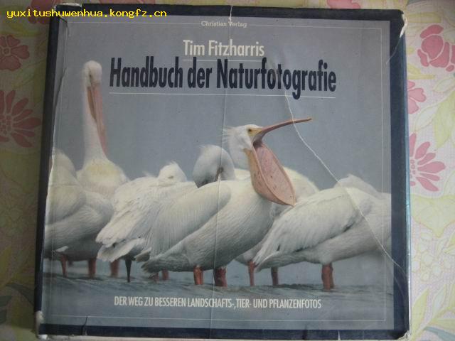 英文原版画册：Tim Fitzharris Handbuch der Naturfotografie（12开　精装画册)