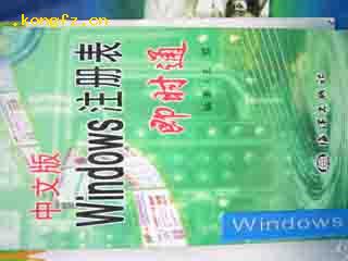 中文版Windows注册表即时通