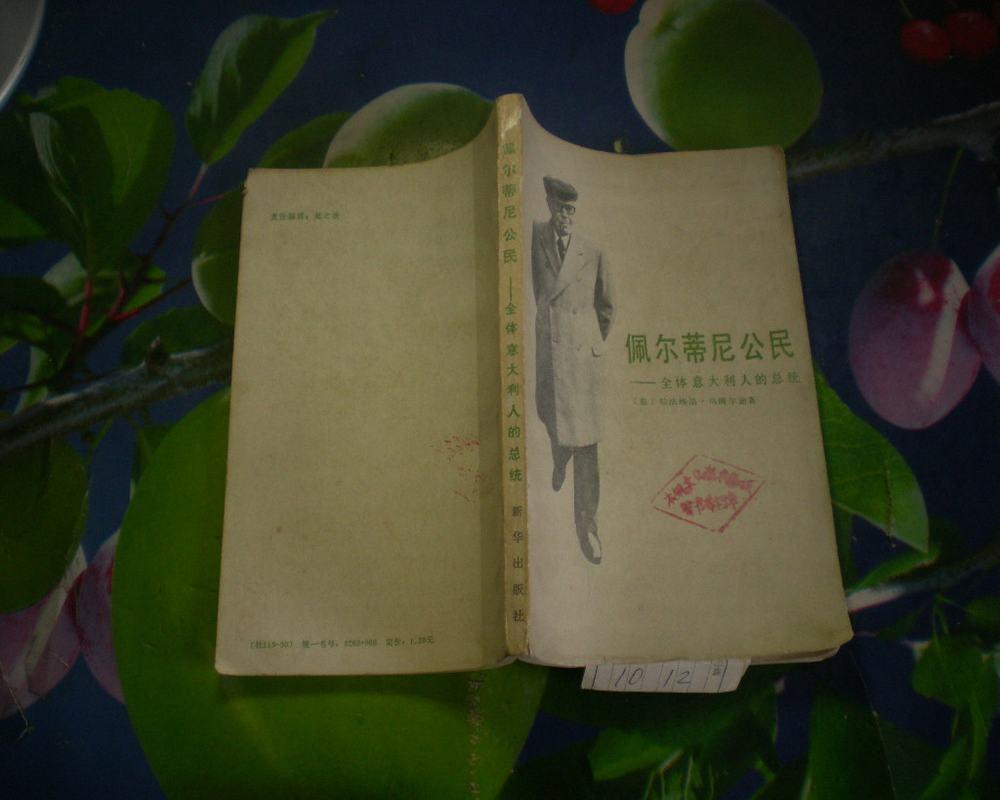 佩尔蒂尼公民--全体意大利人的总统