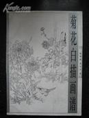 菊花白描画谱