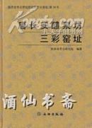 唐长安醴泉坊三彩窑址(陕西省考古研究所田野考古报告第34号)