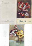 1963年  【静物写生】  水彩画片  一套  8张  全品