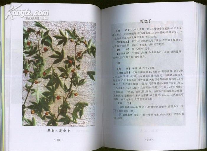 医用本草 本草彩色图谱与验方