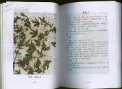 医用本草 本草彩色图谱与验方