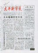 《大丰新市民》报