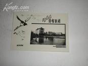 南京林学院  64年贺卡照片