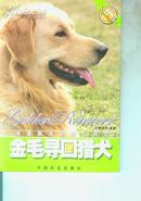 金毛寻回猎犬/铜版彩印