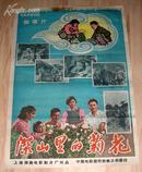 五十年代电影海报《深山里的菊花》 【2开 560年代 保真】