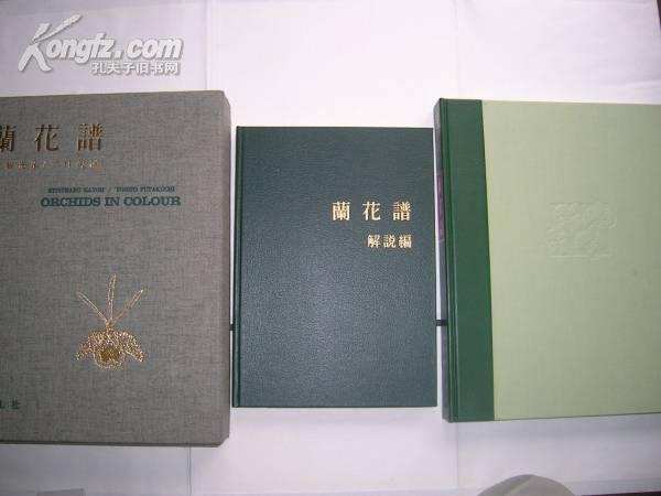 超大型精装本 兰花谱 日本平凡社 一函两册全 解说付
