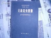 中国科学院动物研究所 昆虫图册 第三号 天敌昆虫图册（50页彩图 书边有轻微霉斑）