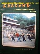 武当太乙五行拳（图片中右上角那本）