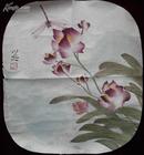 蒋明，扇画草虫