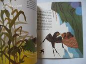 80年代绝版传统绘本连环画《鸟儿的家》 中国世界语出版社84年（20开）第一版36图赠电子版译文