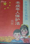 中华人民共和国未成年人保护法（图例）