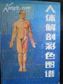 人体解剖彩色图谱 护封9品，书10品 内附图解