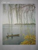 精品明信片----〈玄武湖之春〉---10张--可做极限片