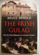 英语原版爱尔兰小说 The Irish Gulag by Bruce Arnold 著