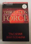 原版英文书 Tribulation Force /科幻类/