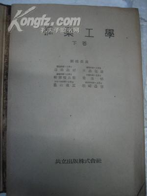 桥梁工学 下册