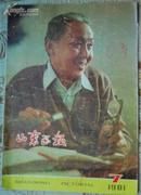 8开本：《山东画报》1981年第7期【有装订孔，刊建党老邮票图文等，附宋庆龄逝世纪念增页照片专版，品如图】