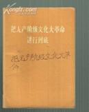 把无产阶级*****进行到底【有毛主席和林彪合影，见图】