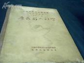 中国田野考古报告集丁种第十一号---唐长安大明宫