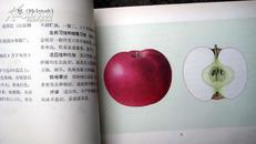 苹果主要品种原色图谱   16开1版1印