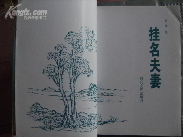 挂名夫妻-----【时代作家文丛】