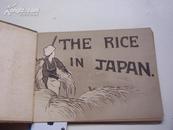 民国：英文版《 日本人.风俗   米饭在日本》16K