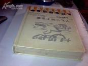 屋顶上的小飞人【精装】  二十世纪外国最新童话 法国北欧卷