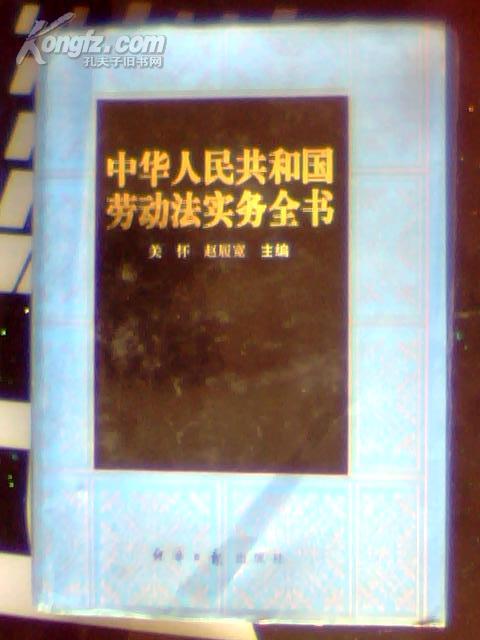 中华人民共和国劳动法实务全书 16开硬精装