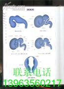 组织学与胚胎学彩色图谱 【彩色铜版纸·16开精装】