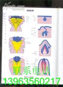 组织学与胚胎学彩色图谱 【彩色铜版纸·16开精装】