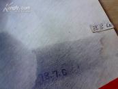 静物 素描（作者；陈学梅）106cm  x  70cm