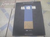 湖北代表书家作品集:杨晓琳