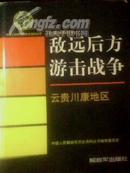 敌远后方游击战争（全1册）云贵川康地区【缎面硬精装 图文本 2003年12月1版1印 仅印4000册】私藏品佳