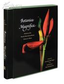 Botanica Magnifica Portraits of the World\\\'s Most Extraordinary Flowers and Plants 原版花摄影