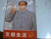 支部生活《革命样板戏画刊》