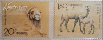 《野骆驼》（套二枚）T1993-3