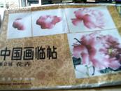 中国画临帖（2）--花卉【活页8开24页】